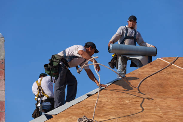 Best Gutter Installation and Roofing  in Fort Carson, CO